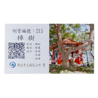 Adopt Ming Edition To Promote Camphor Tree-4