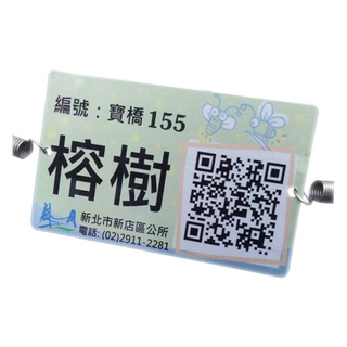 Adopt Ming Edition To Promote The Protection Of The Banyan Tree-2